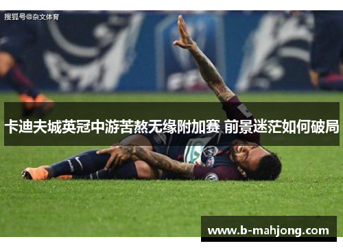 卡迪夫城英冠中游苦熬无缘附加赛 前景迷茫如何破局