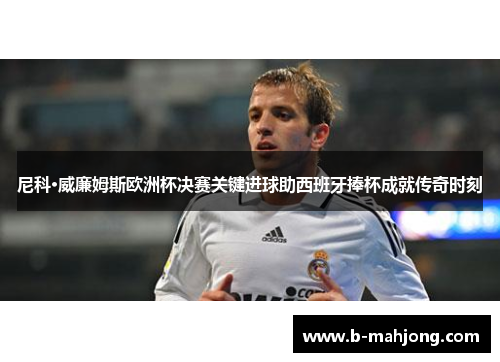 尼科·威廉姆斯欧洲杯决赛关键进球助西班牙捧杯成就传奇时刻 尼科·威廉姆斯欧洲杯决赛关键进球助西班牙捧杯成就传奇时刻